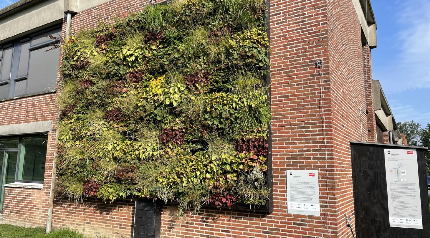 Gr�nne plantev�gge